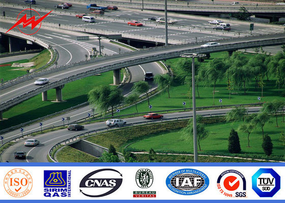 pali di illuminazione dell'albero della plaza di spessore di 40M 8mm alti con il gradino rampicante