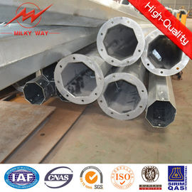 Pollo di acciaio galvanizzato elettrico a caldo con resistenza alla pressione del vento fino a 160 km/h