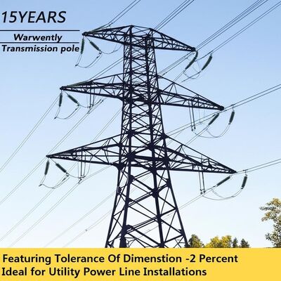 50 anni di garanzia per il palo di alimentazione in acciaio con tolleranza del ±2% e resistenza al rendimento di 460 Mpa per la linea di trasmissione