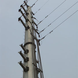 distribuzione d'acciaio Pali di palo di potere degli isolanti elettrici poligonali di 50FT per 132KV