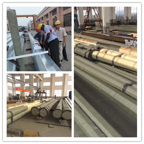 11M 13.5KNEPale di alimentazione elettrica per il montaggio in terra o in piastra di base disponibile in varie dimensioni e finiture 0